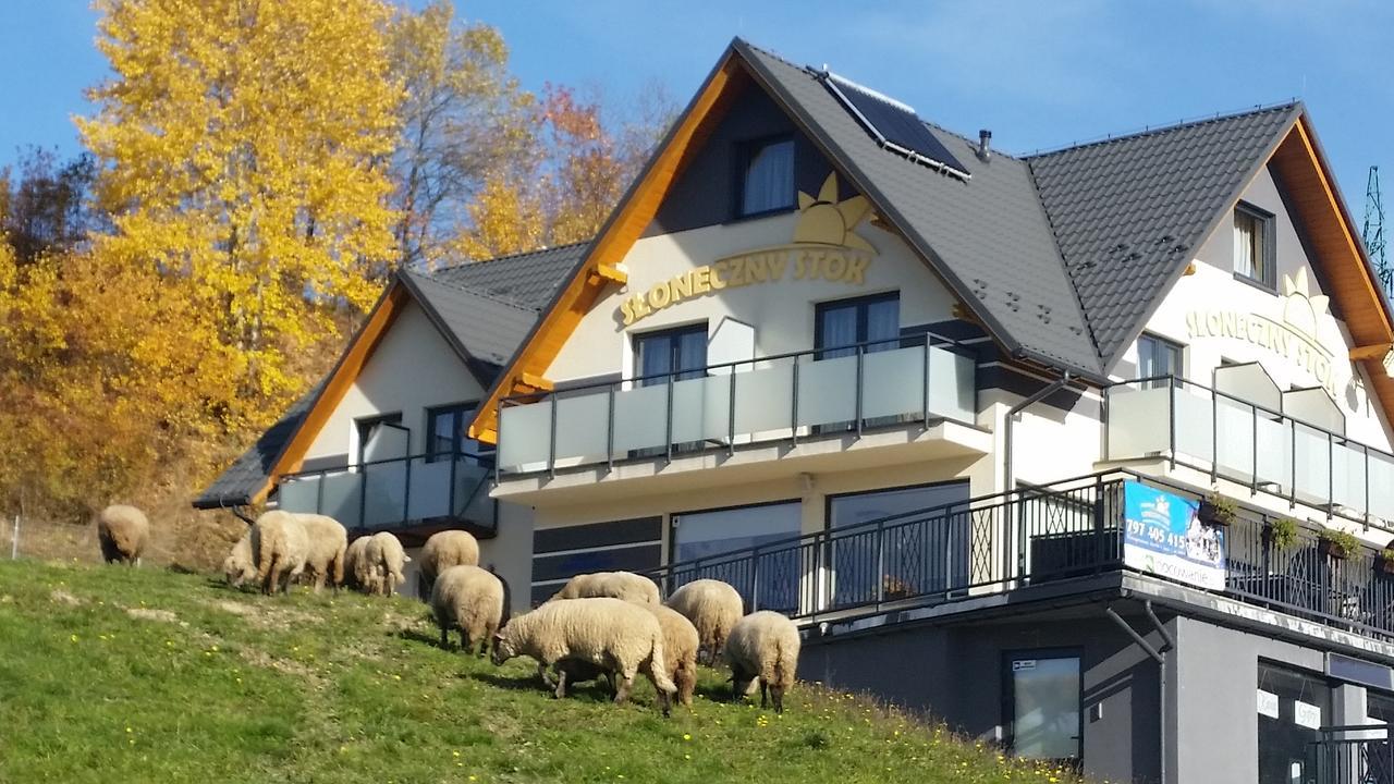 Sloneczny Stok Miedzybrodzie Zywieckie Exterior foto